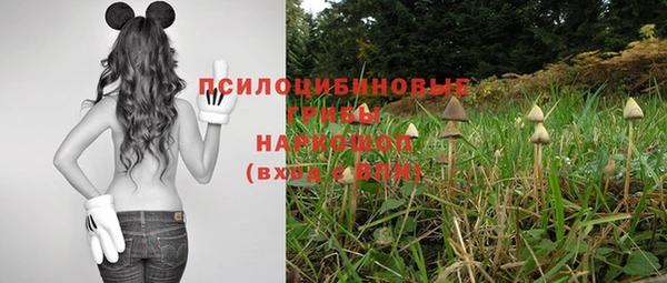 каннабис Алзамай