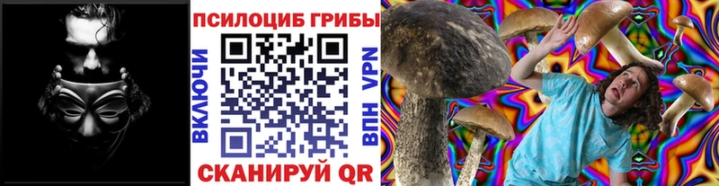 Галлюциногенные грибы Psilocybe  Щёлково 