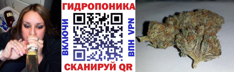 hydra зеркало  магазин продажи наркотиков  Щёлково  Шишки марихуана конопля 